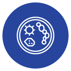 Microbiology & Infectious Diseases